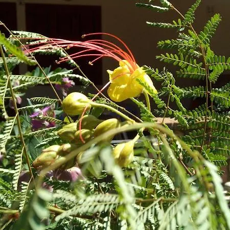 Appartement Casetta Silvia *